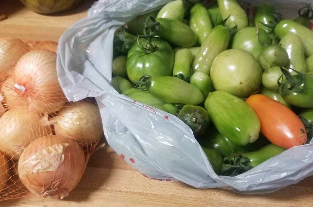 Image of green tomatoes in plastic bag, with onions and one red tomato.