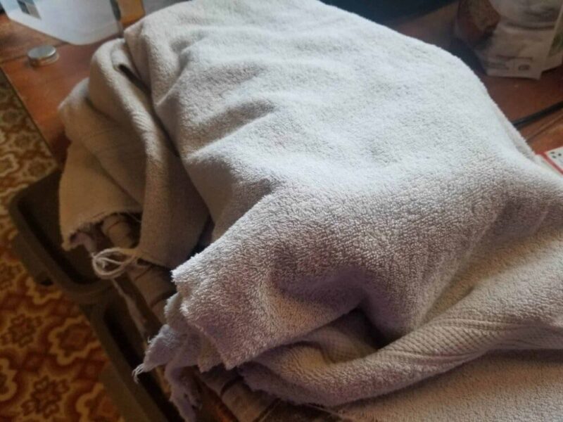 Image of jars covered in a heavy towel while cooling.